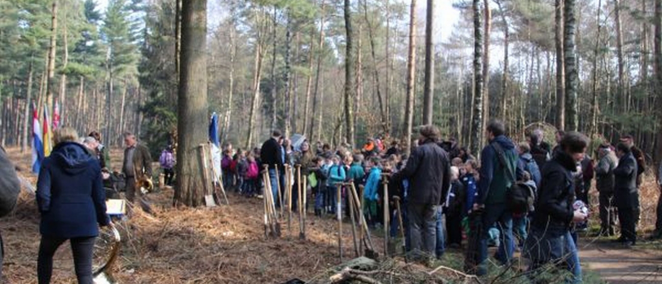 31.000 bomen voor Internationale Boomplantdag 