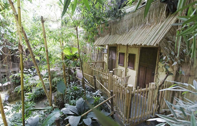 Jungle Dome - bij Center Parcs Het Heijderbos