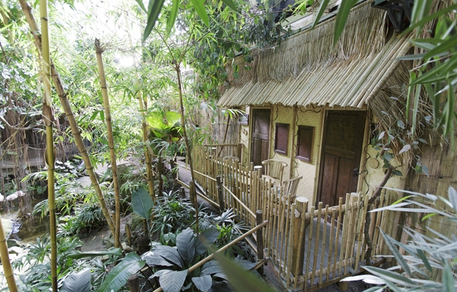 Jungle Cabana