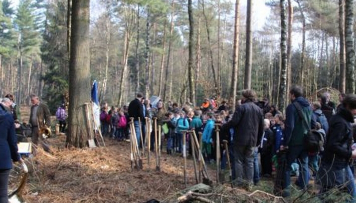 31.000 bomen voor Internationale Boomplantdag 