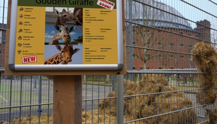 Bredase Koepel klaar voor ontvangst 'gouden giraffe(n)'