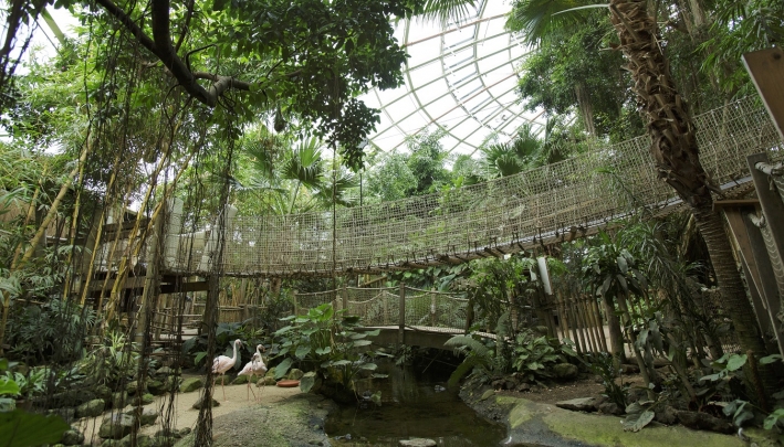 Center Parcs Het Heijderbos -  Jungle Dome