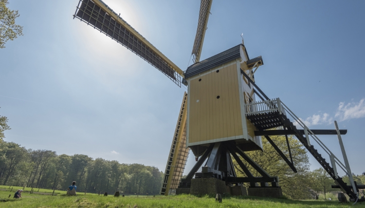 Standerdmolen