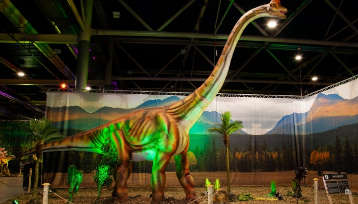 Nieuwe dinosaurussen in World of Dinos Jaarbeurs Utrecht