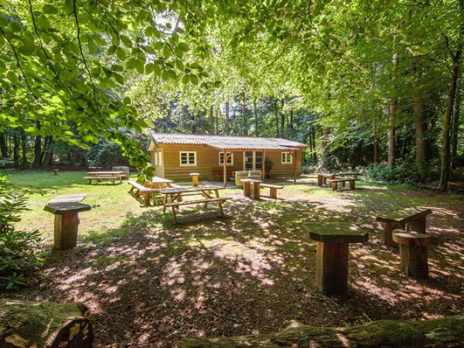 Verscholen in het bos hebben wij twee lodges, perfect te combineren met een buitenactiviteit.