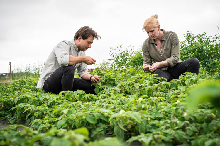 Martijn en Marloes in de Moestuin