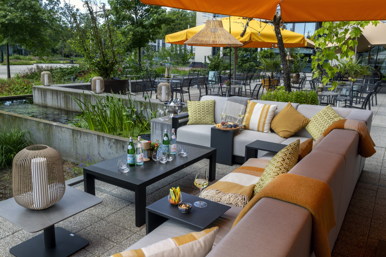 Terras
