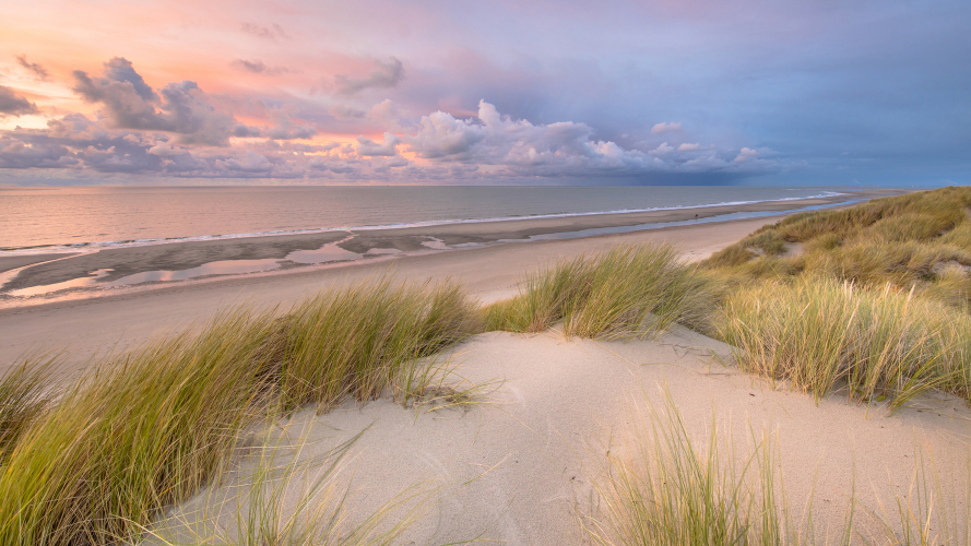 Duinen