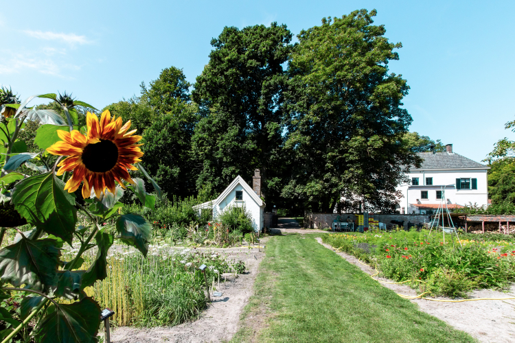 Het Hof hoftuin