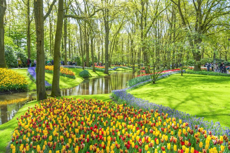 Keukenhof