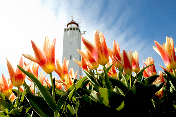 Vuurtoren Noordwijk