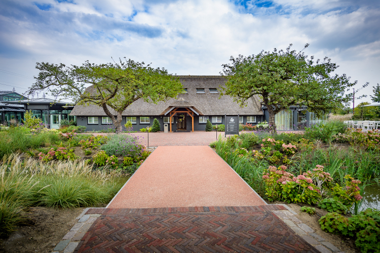 Green Village entree