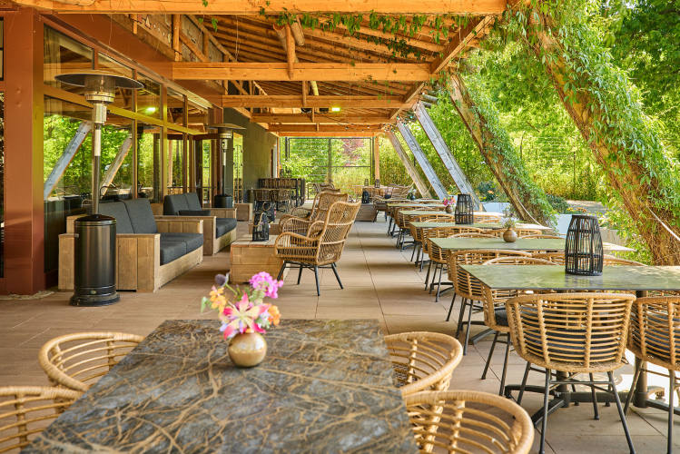 Terras Kalahari