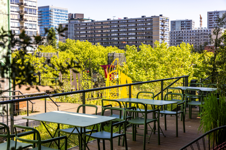 Terras op 3e verdieping op het dak van de Doelen tussen bloemen en planten