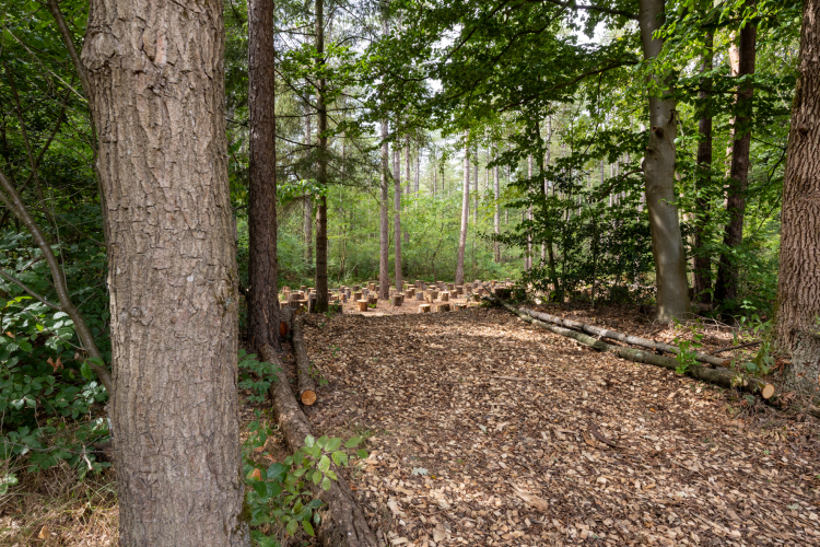Vuursche Lodge