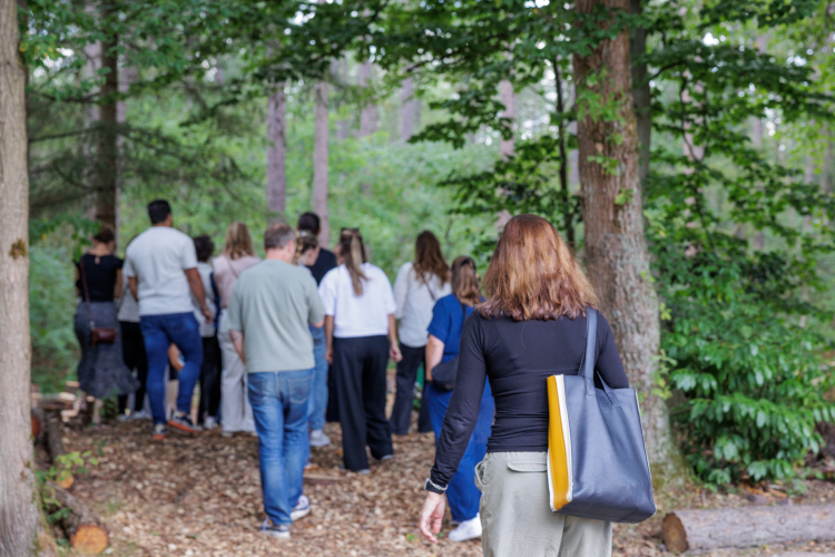 Vuursche Lodge bos