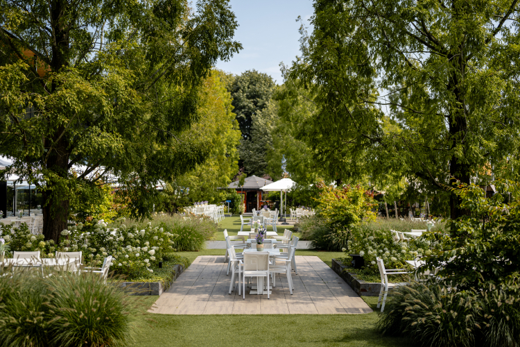 Tuin