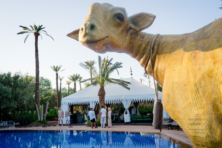 discover marrakech hidden gems corporate event