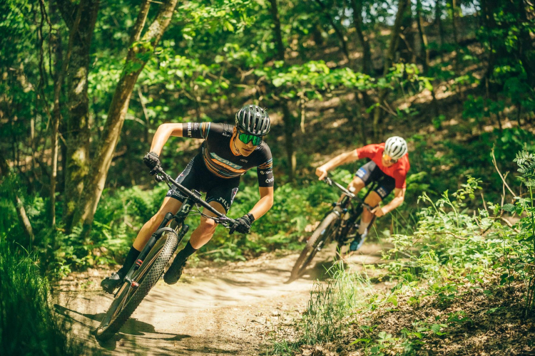 Mountainbikers op een bospad op de Veluwe