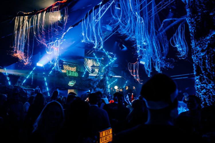 Overzicht Woud van Licht.