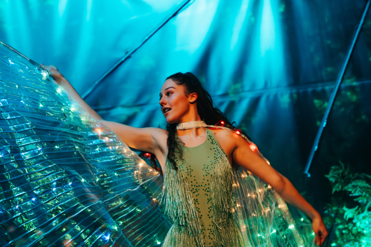 Danseres in het Woud van Licht.