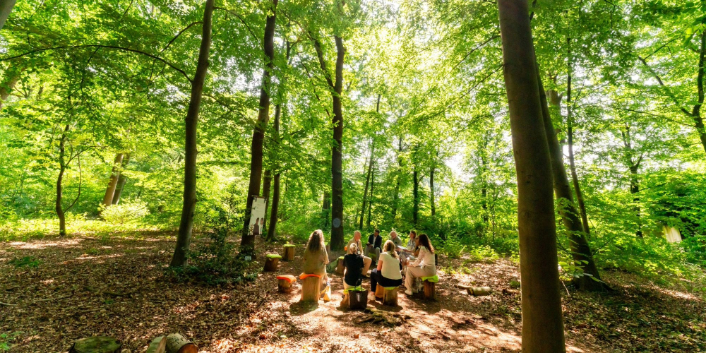 De palaverplek van Conferentiehotel Kontakt der Kontinenten, een buitenvergaderplek in het bos waar een groep mensen in een kring zit op boomstammen, omgeven door bomen en gefilterd daglicht.