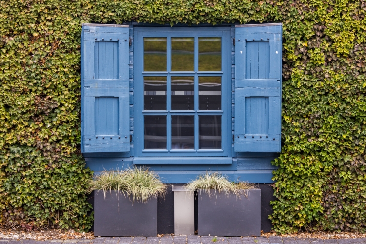 Fort Voordorp detail