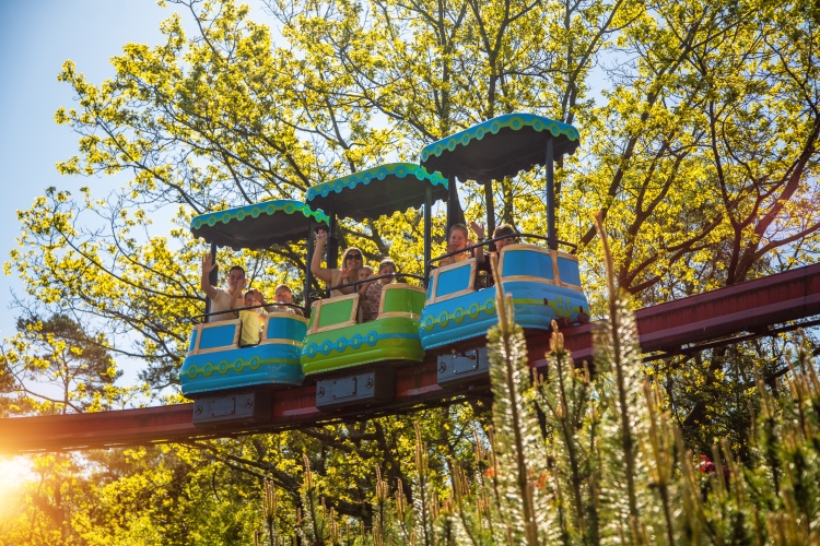 Ontspannen ritje door de boomtoppen van het park