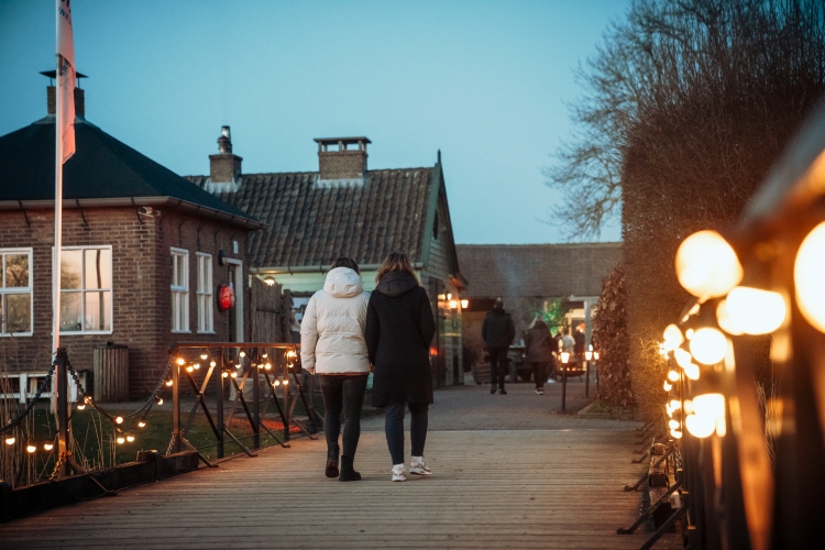 Brug naar het fort in de winter