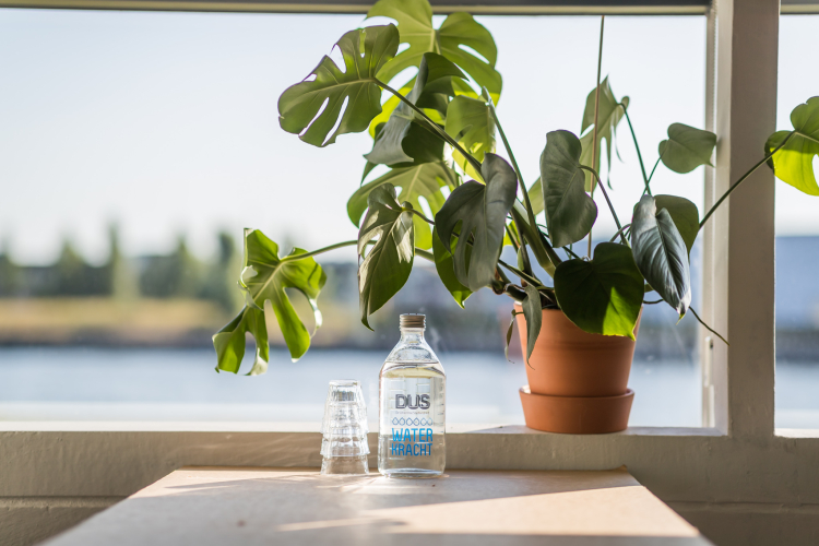 Water