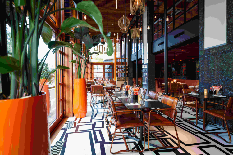 Lido Bar & Kitchen