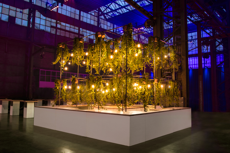 Delight Eventdesign - www.delighted.nu