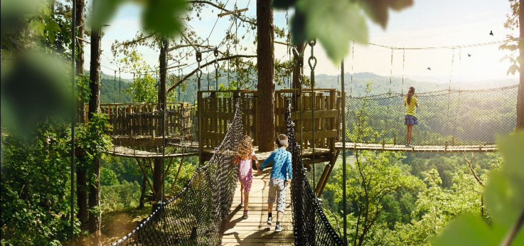 Bladerdakbrug, apenbrug, wildpark, familyday
