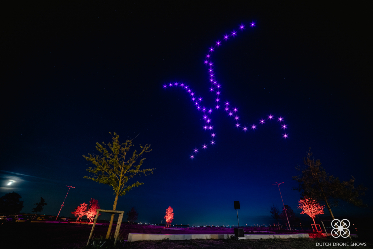 Love  Dutch Drone Shows