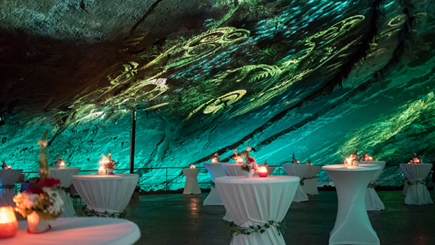Receptie, bijeenkomst, aperitief, walking diner