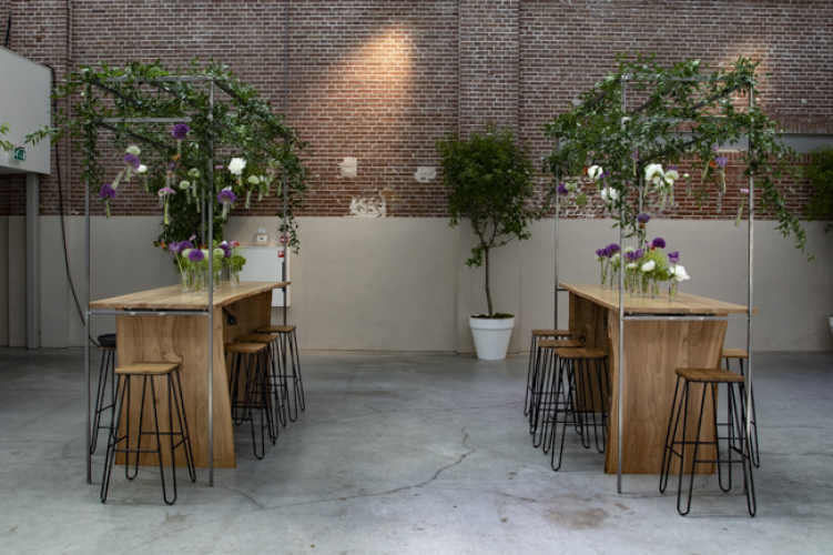 Forest boomstamtafels met groen in de lucht