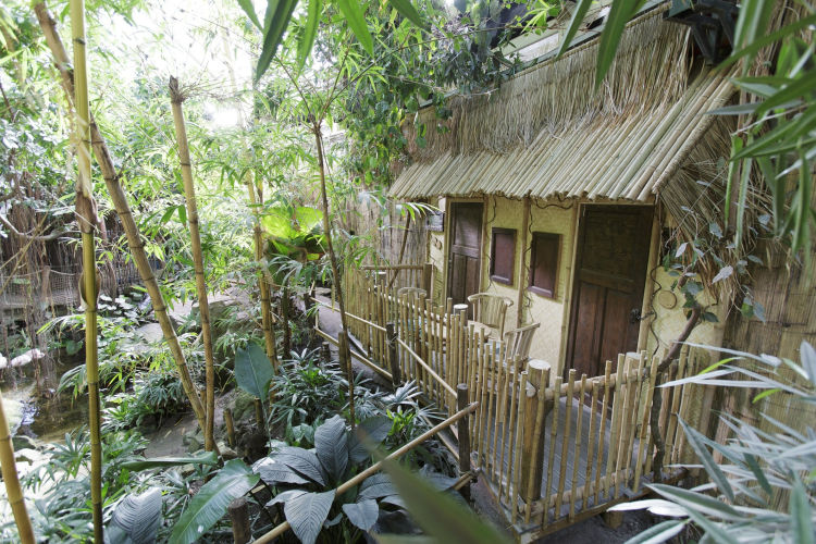 Jungle Cabana bij Jungle Dome Center Parcs Het Heijderbos
