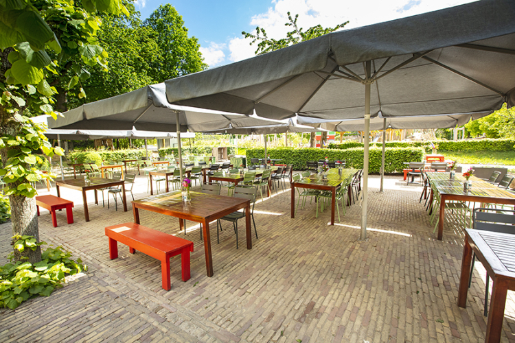 Hanekamp