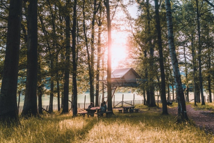 Boomtenten, alternatief overnachten, back to nature