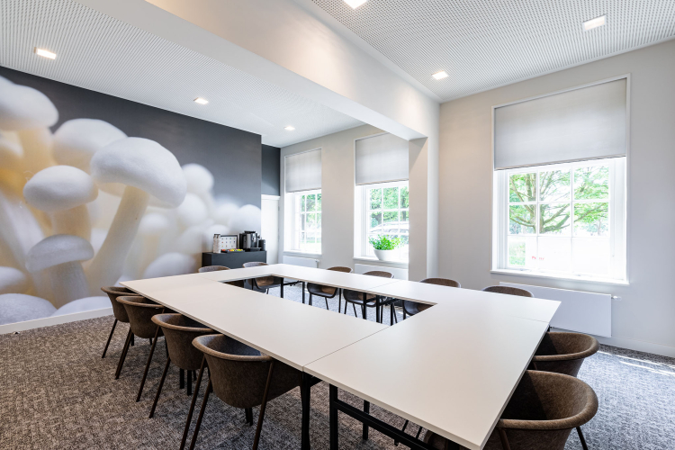 Mauritskazerne - Mush Room