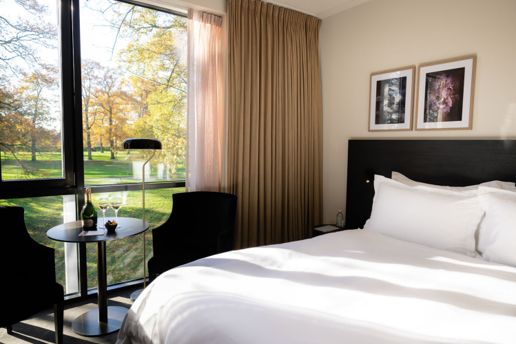 Luxury Room