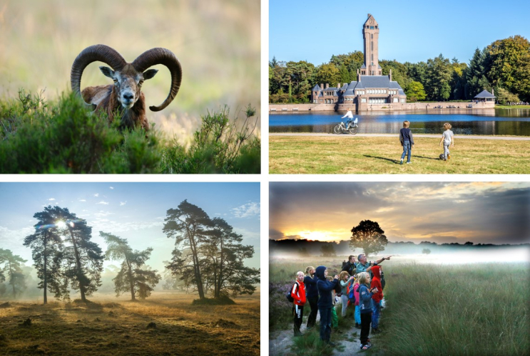 Sfeerimpressie Hoge Veluwe