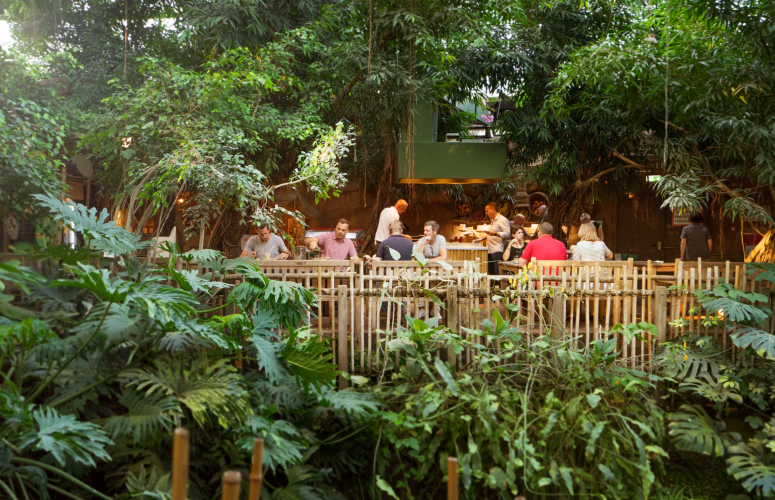 Terras bij Jungle Dome Het Heijderbos