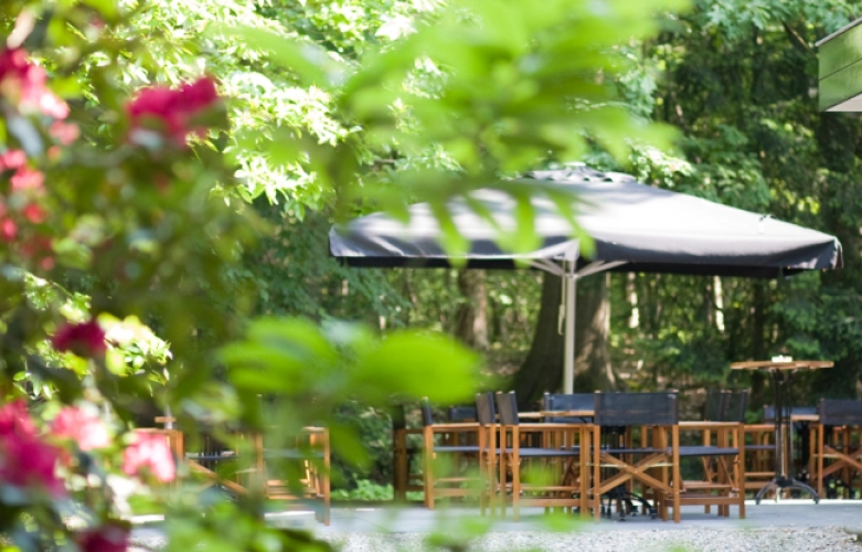 Terras Koetshuis