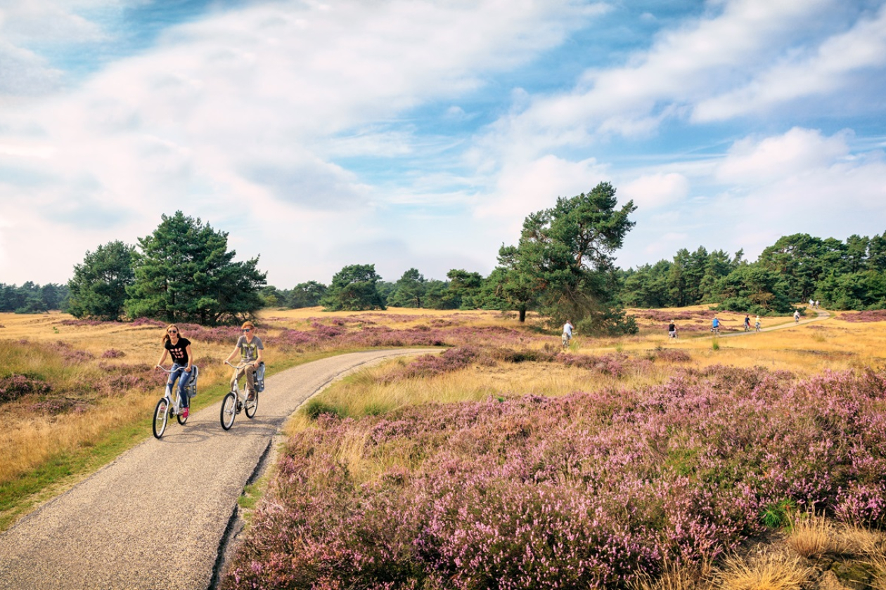 Nationale Park De Hoge Veluwe fietsen