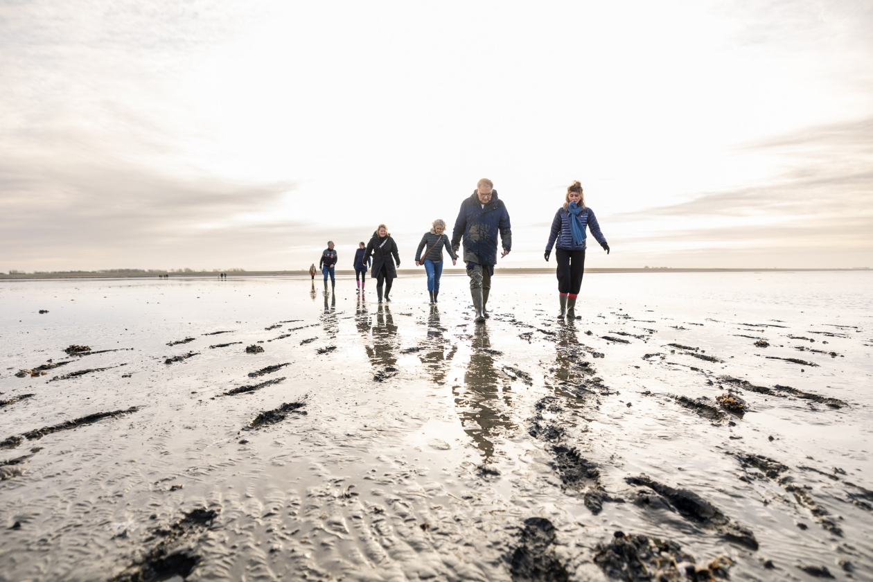 Meet in Friesland
