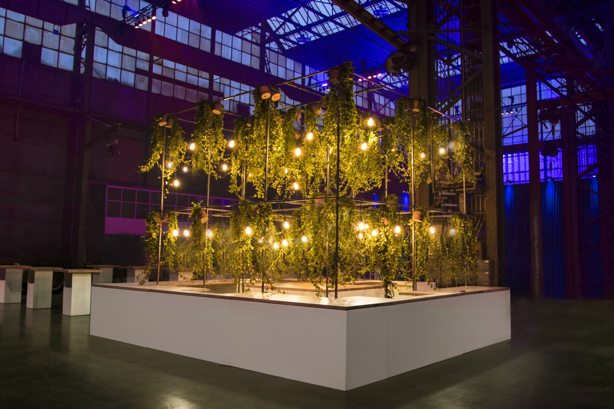 Delight Eventsdesign 
