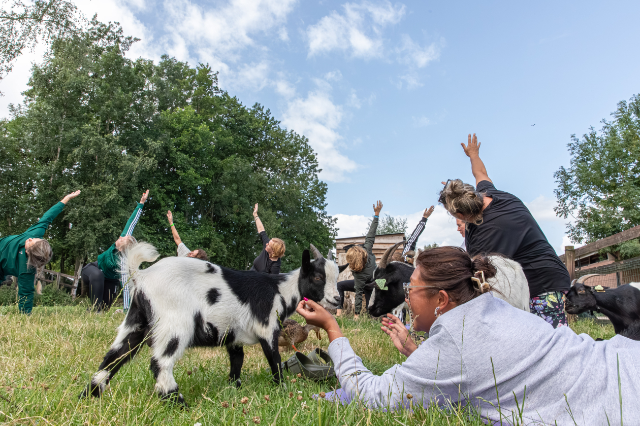 Geitenyoga Boerderij de Boerinn