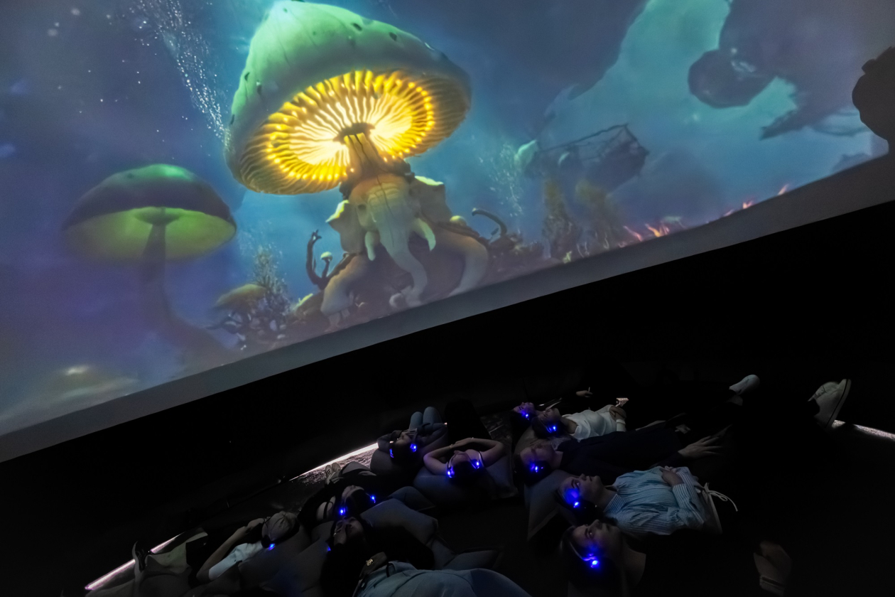 ReCharge dome