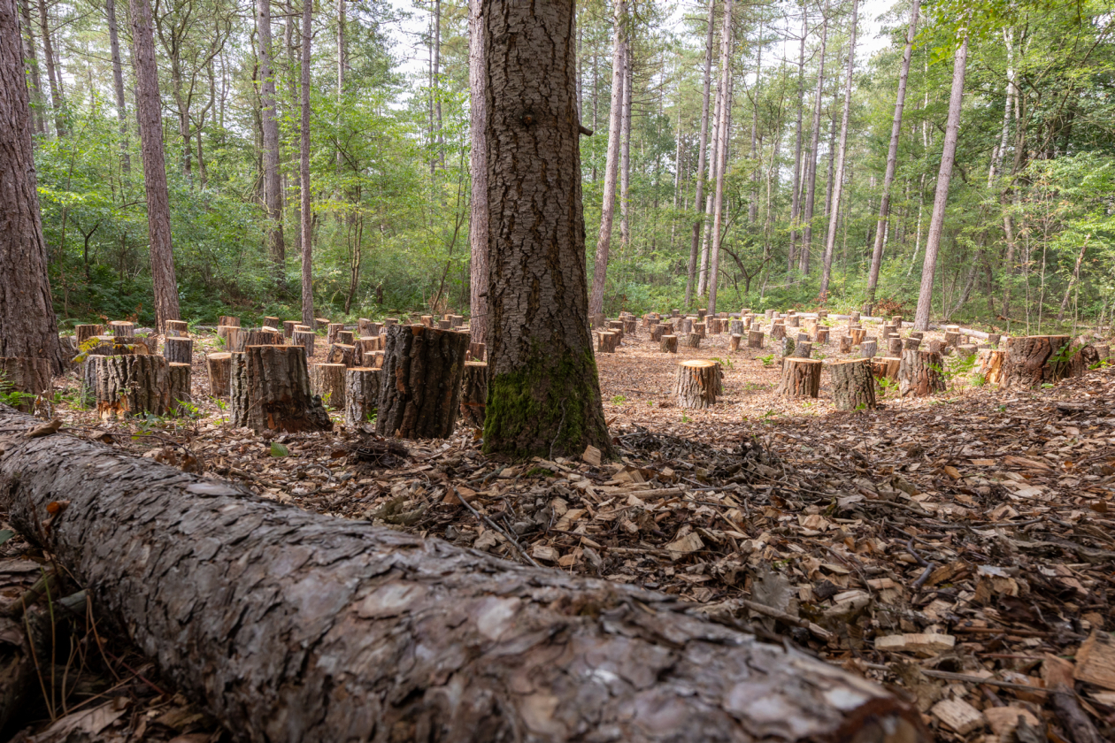 Evenementenlocatie Vuursche Lodge